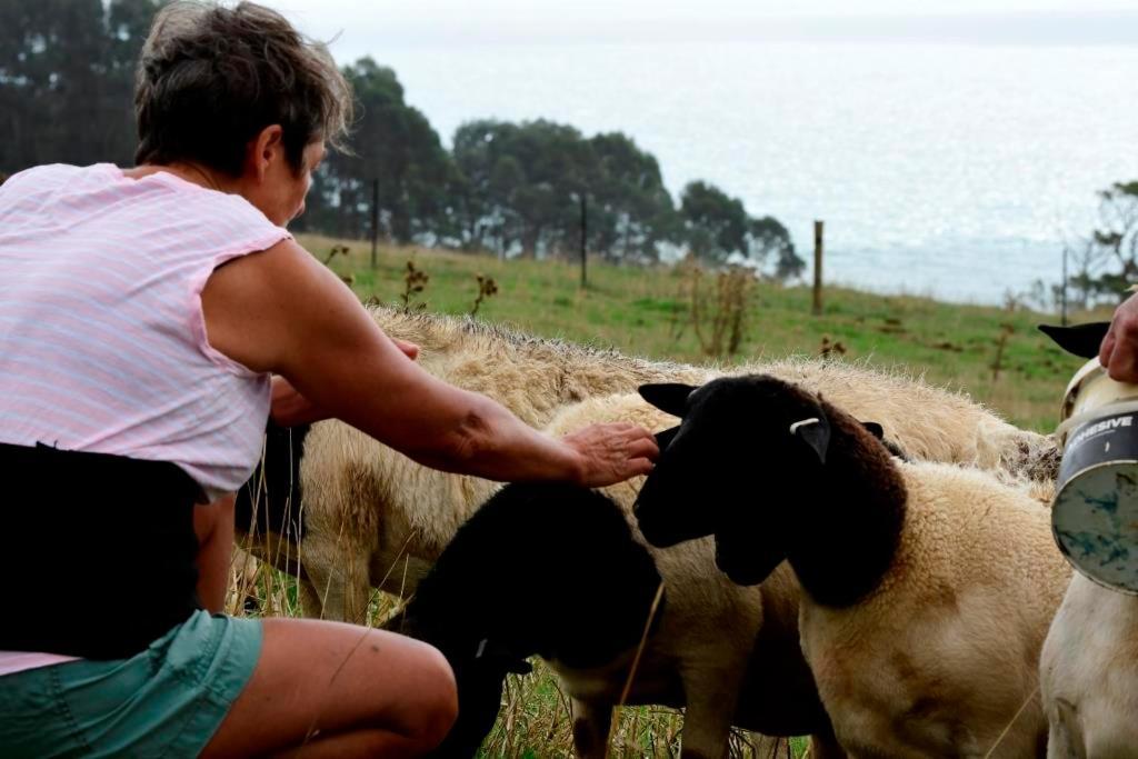 Penguin Seaside Farm Vila Exterior foto